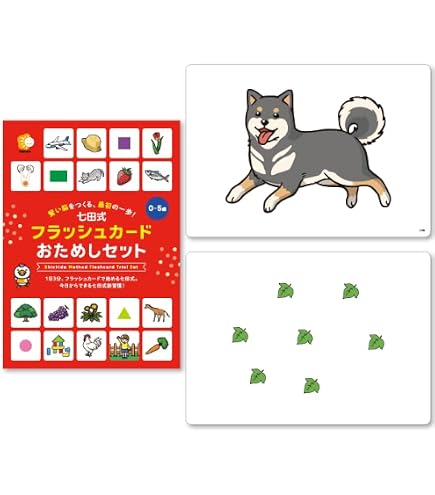 Amazon.co.jp: 右脳の高速計算力を引き出す！「七田式ドッツセット」0