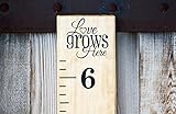おもちゃ DIY Vinyl Growth Chart Ruler Decal Kit Love Grows Here [並行輸入品]