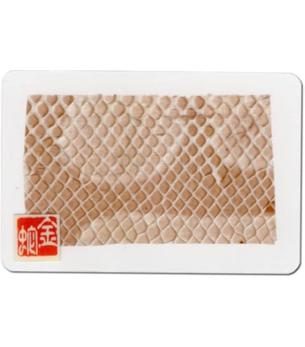 白蛇抜け殻一体売り！！ 0_6c6624b55f6046fb64c76ee40044