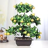 suyunyuan花植物ポットフラワープラスチック人工ツリーフルーツツリーリビングルーム盆栽 One Size 561365595639-2