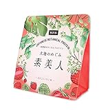 大地のめぐみ素美人 ソイプロテイン まるごといちご味 無添加 人工甘味料不使用 国産 完全食 プロテイン ビタミン 250g