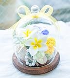 プリザーブドフラワー ガラスドーム ギフト (プルメリアイエロー) ガラスの森～プルメリアの雫～