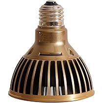 Amazon | 【BARREL公式】TSKUYOMI 10W AKADAMACHAN MODEL ゴールド