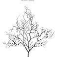 STAY ALIVE(初回生産限定盤)(DVD付)
