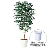 エフプランター 人工観葉植物-コーヒーデュアル-200-9号鉢-懸崖鉢