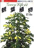 観葉植物 (GREEN LIFE 13)