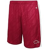 ユースNCAA Arkansas Razorbacksバスケットボールショーツ(チームカラー) L レッド