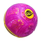 ラングスジャパン(RANGS) フラットボールV2 パープル