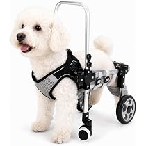 Amazon.co.jp: 犬用車椅子 四輪 軽量 安定設計 歩行補助 ペット