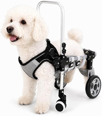 Amazon.co.jp: JELFUNY 犬用車椅子 犬用歩行器 後ろ足用 2輪歩行補助