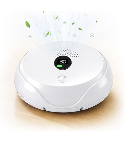 Amazon.co.jp : Ion and Ozone Generator for Home Use, Adjustable
