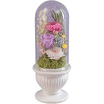 Amazon｜【公式日比谷花壇】プリザーブドフラワー「ガラスドーム
