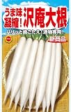 アタリヤ農園 ガーデニング用品 種 うま味凝縮! 沢庵大根