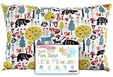 Toddler Pillowcase by Dreamtown Kids 14 X 19 - 100% Organic Cotton Jersey - Naturally Hypoallergenic