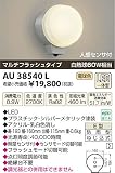 コイズミ照明 LED防雨型ブラケットマルチフラッシュタイプ(白熱球60W相当)電球色 AU38540L