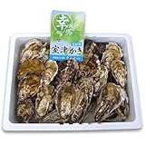 幸永丸牡蠣 殻付き牡蠣 漁師直送！朝取れ牡蠣 【幸永丸水産】 かき カキ 牡蠣… (3キログラム)