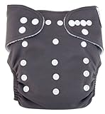 Trend Lab Cloth Diaper, Gray with White Liner by Trend Lab [並行輸入品]