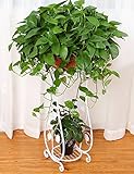 CHAOXIANG フラワーシェルフヨーロッパスタイルの鉄床2階フラワーポットシェルフ屋内と屋外の植物棚
