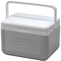 Amazon.co.jp: JEJアステージ 使いやすい小型 クーラーボックス