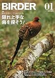 BIRDER (バーダー)2013年 01月号 [雑誌]