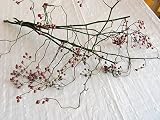 ドライフラワー 野バラの実