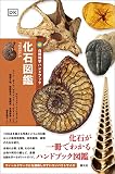 化石図鑑 (自然科学ハンドブック)