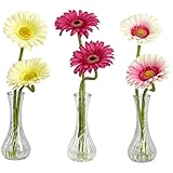 Nearly Natural 1248-A2 Gerber Daisy with Bud Vase, Set of 3 [並行輸入品]