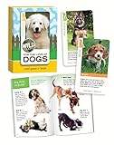 Dogs, Card Game and Book [並行輸入品]