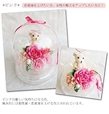 Lovely Happy Bear 花風水 パワーストーン ダブル パワー ドーム 入 くまさん ピンク バラ アレンジ