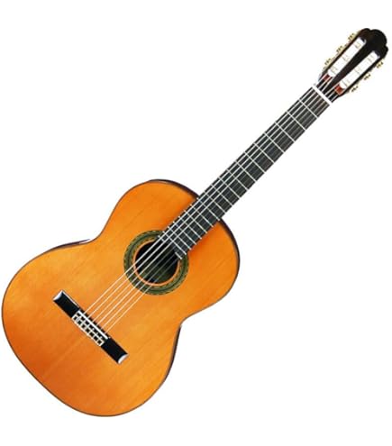 ARIA アコースティックギター Amazon | ARIA アリア クラシックギター 630mmスケール ソフトケース付