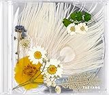 ビックバン ソル - WHITE NIGHT (Vol.3) [White ver.] CD+Photobook+Folded Poster [韓国盤]