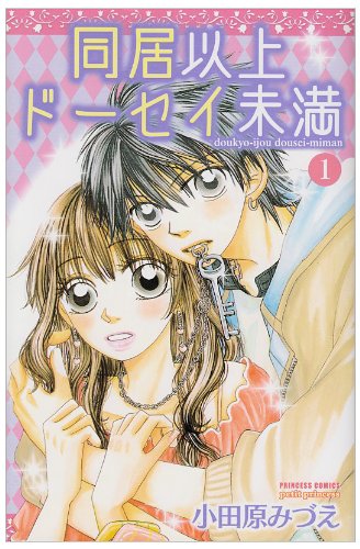 『同居以上ドーセイ未満』