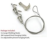 chris-wang ProfessionalアートHangingシステムギャラリーLarge画像表示キット( 1 mツイスターステンレススチールケーブル、成形フック、調整可能な画像ハンギングフック付