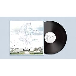 Amazon.co.jp: 盗作 (限定盤)(2枚組)[Analog]: ミュージック