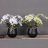 BAGEHUA ファレノプシスの花装飾装飾花花 Pu 感じシミュレーションリビングルームテーブルフラワーアーティスト、白