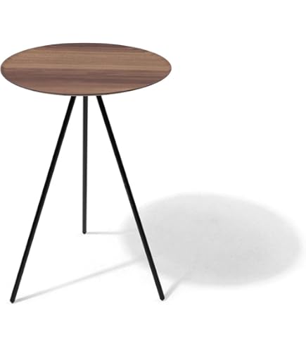 Amazon | ヘリノックス (Helinox Home,Deco & Beach) 天板 テーブル