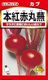 タキイ種苗 かぶ 本紅赤丸蕪