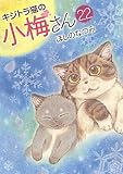キジトラ猫の小梅さん 22 (22巻) (ねこぱんちコミックス)