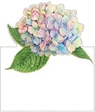 (Pack of 16) - Wedding Place Cards No Placecard Holders Needed Hydrangea Garden Pk 16