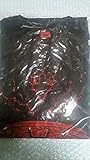 BABYMETAL Tシャツ TOKYO DOME MEMORIAL TEE 東京ドーム XL ベビーメタル