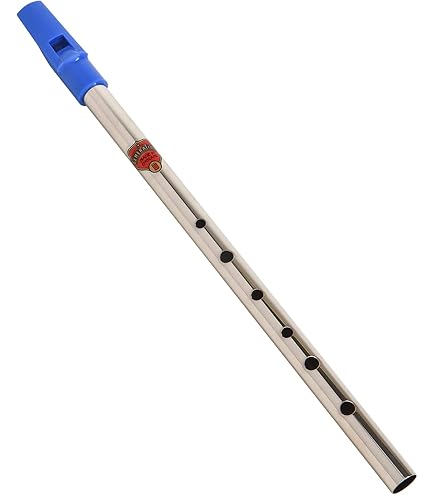 Amazon | Brass D Generation Tin Whistle | ホイッスル | 楽器・音響機器