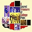フォーク・エイジ・シリーズ (2)カレッジ・ポップスの秘宝