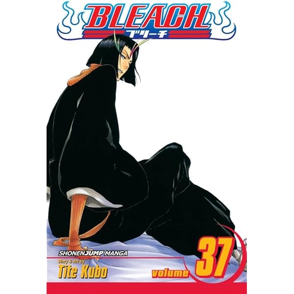 Amazon | Bleach, Vol. 38: Fear for Fight (English Edition