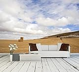 wall26 – 自己粘着壁紙大壁壁画シリーズ 100"x144" WMR-WP-X-FI07-100x24x6