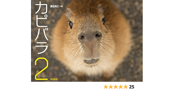 カピバラ2 渡辺 克仁 渡辺 克仁 本 通販 Amazon カピバラ2 渡辺 克仁 渡辺 克仁 本 通販 Amazon