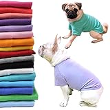 24HOURS フレブル ブルドッグ Tシャツ 綿100% 無地 日替わり シンプル コットン KM045TS-BULL 首回り(30-44cm) 胸囲(43-54cm) BSサイズ A : ホワイト