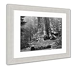 AshleyフレームプリントGeneral Grant Sequoiaツリー、壁アートホーム装飾、ag5493502 35x30 Silver Frame 5493502-AFPP1-SB20