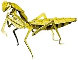 ペーパーパズル 大 カマキリ メタリック調 ゴールド 専用台座付 PP301-01GL