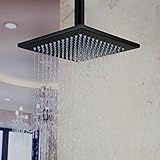 Hiendure 300mm ブラス真鍮ブロンズオーバーヘッドシャワー,オイル・ラヴド・ブロンズ 仕上げ