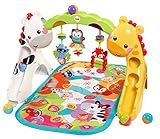 Fisher-Price Newborn-to-Toddler Play Gym [並行輸入品]